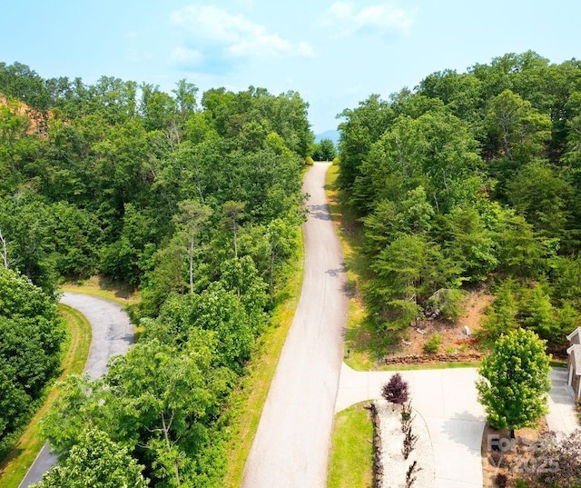 LOT123 Bills Mountain Trl, Lake Lure, NC 28746