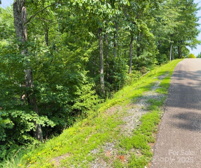 LOT123 Bills Mountain Trl, Lake Lure, NC 28746