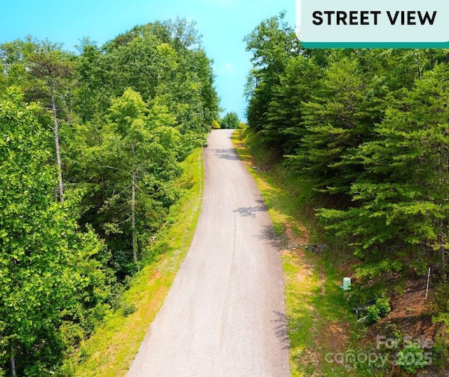 LOT123 Bills Mountain Trl, Lake Lure, NC 28746
