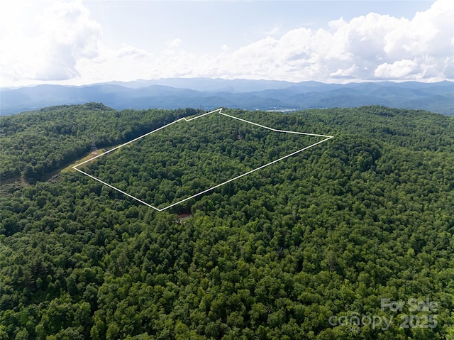99999 Reserve Rd, Pisgah Forest, NC 28768