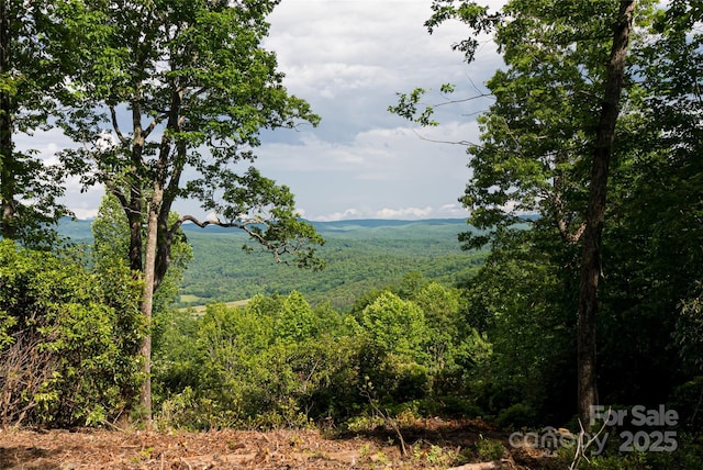 99999 Reserve Rd, Pisgah Forest, NC 28768