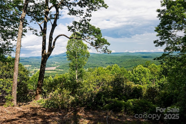 99999 Reserve Rd, Pisgah Forest, NC 28768