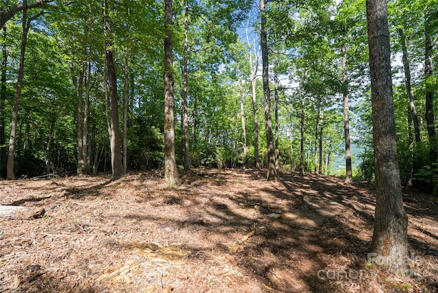 99999 Reserve Rd, Pisgah Forest, NC 28768