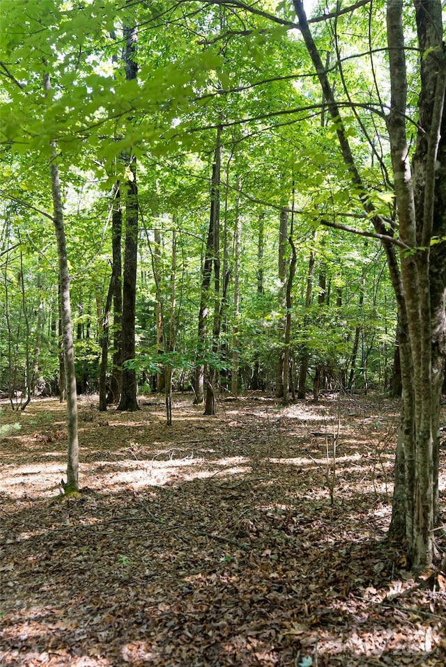 99999 Reserve Rd, Pisgah Forest, NC 28768