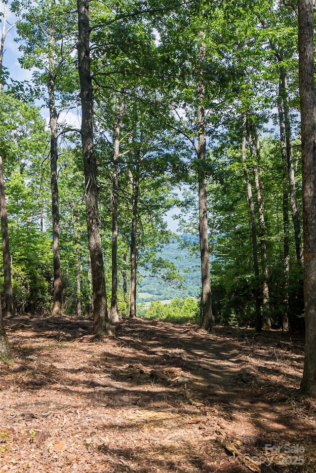 99999 Reserve Rd, Pisgah Forest, NC 28768