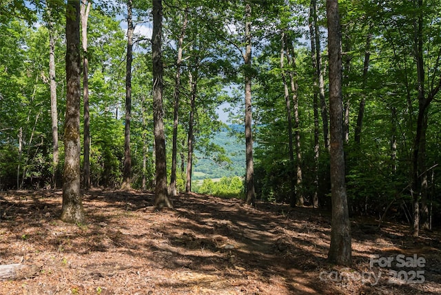 99999 Reserve Rd, Pisgah Forest, NC 28768