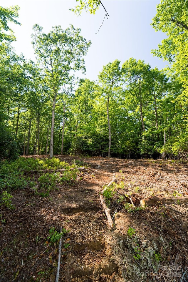 99999 Reserve Rd, Pisgah Forest, NC 28768