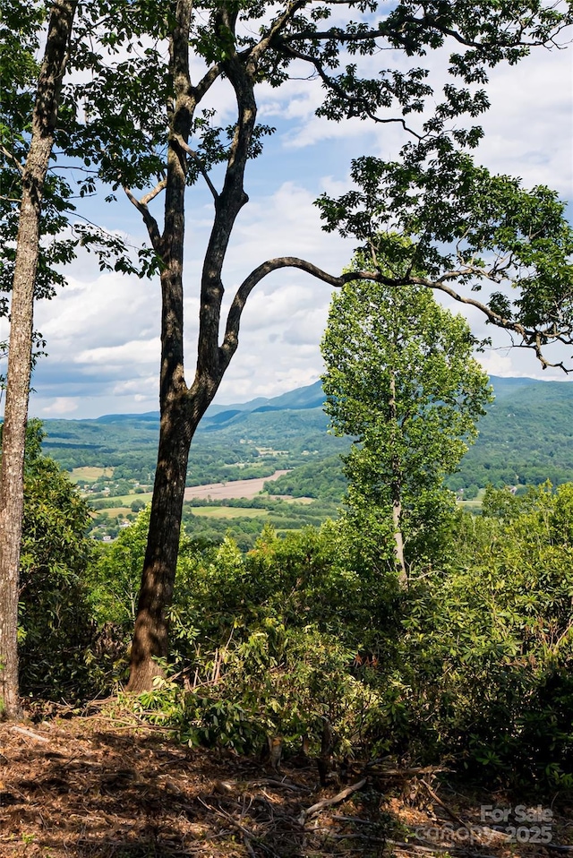 99999 Reserve Rd, Pisgah Forest, NC 28768