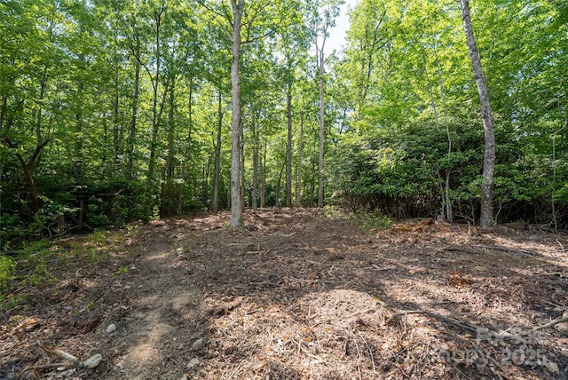 99999 Reserve Rd, Pisgah Forest, NC 28768