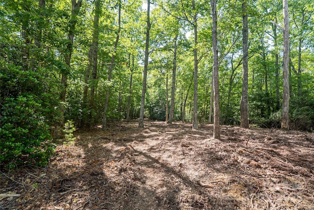 99999 Reserve Rd, Pisgah Forest, NC 28768