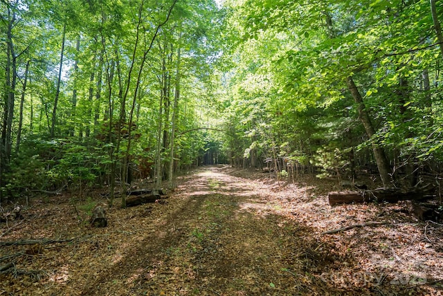 99999 Reserve Rd, Pisgah Forest, NC 28768