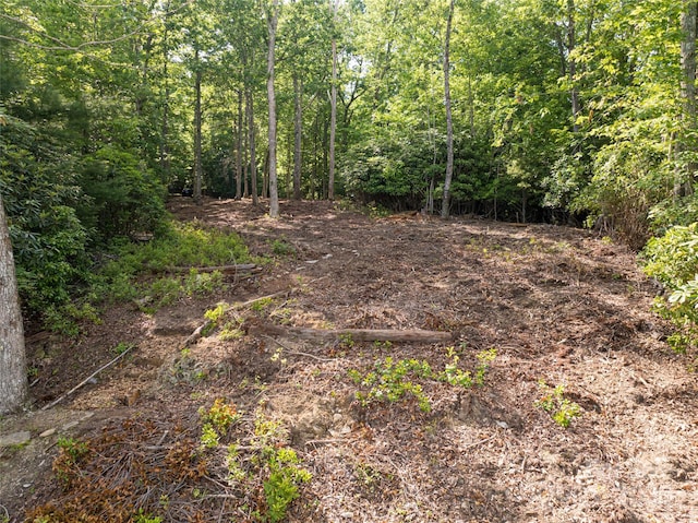 99999 Reserve Rd, Pisgah Forest, NC 28768