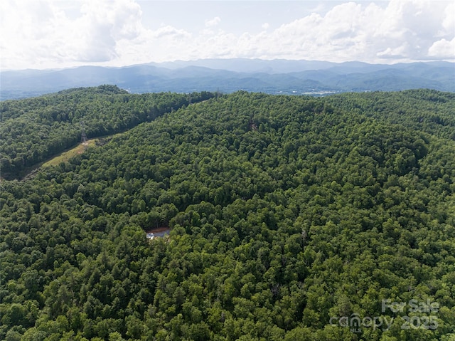 99999 Reserve Rd, Pisgah Forest, NC 28768