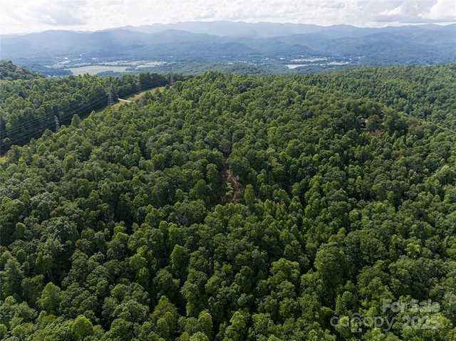 99999 Reserve Rd, Pisgah Forest, NC 28768