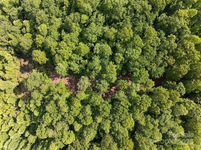 99999 Reserve Rd, Pisgah Forest, NC 28768