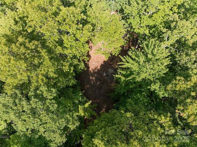 99999 Reserve Rd, Pisgah Forest, NC 28768