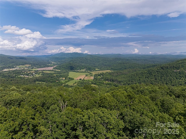 99999 Reserve Rd, Pisgah Forest, NC 28768