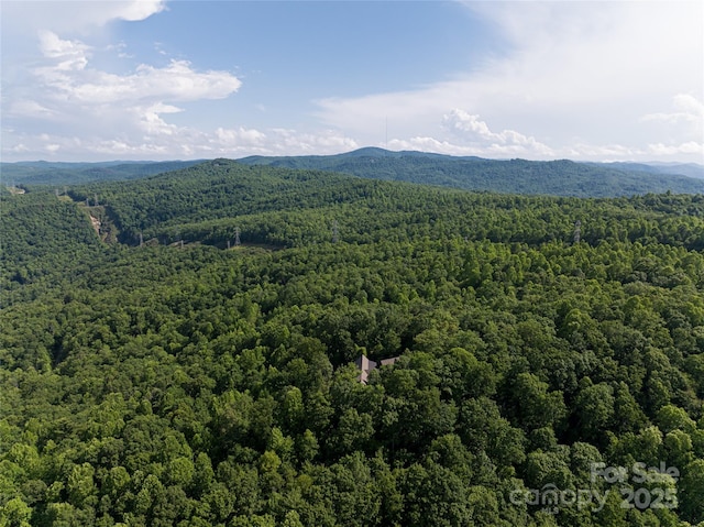 99999 Reserve Rd, Pisgah Forest, NC 28768
