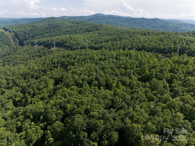 99999 Reserve Rd, Pisgah Forest, NC 28768