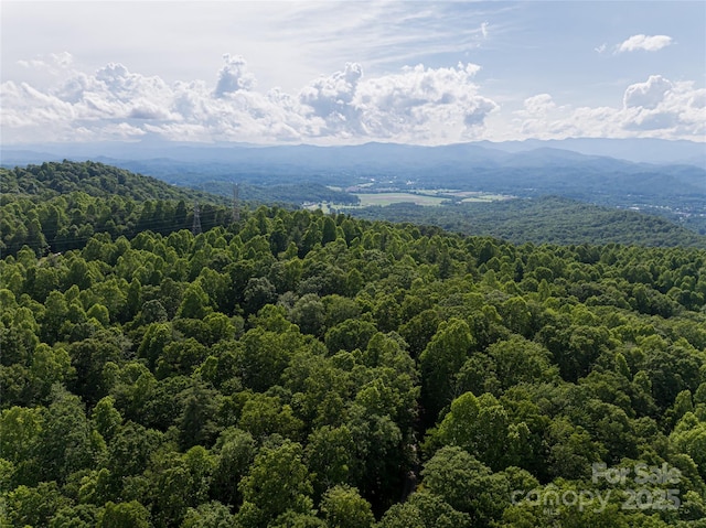 99999 Reserve Rd, Pisgah Forest, NC 28768