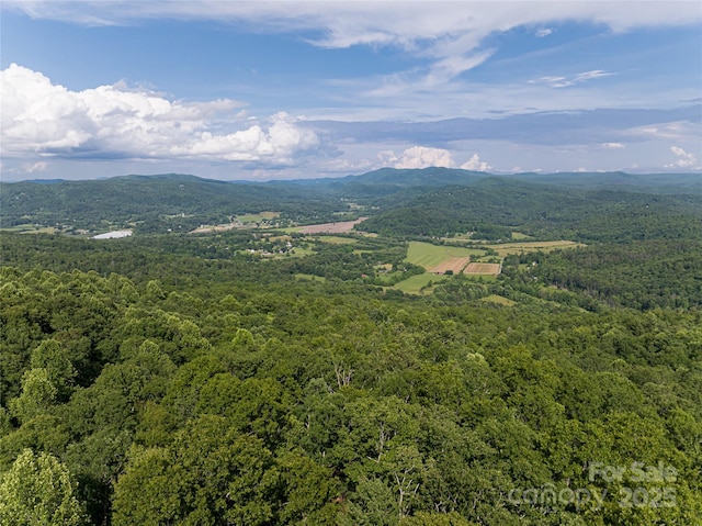 99999 Reserve Rd, Pisgah Forest, NC 28768