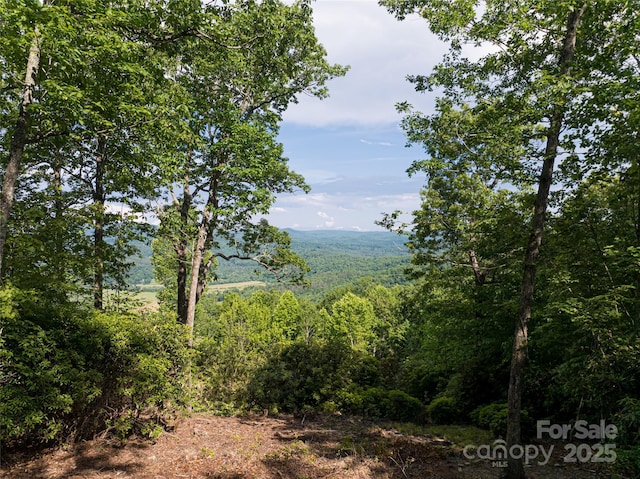 99999 Reserve Rd, Pisgah Forest, NC 28768