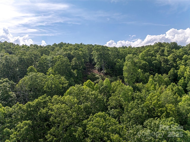 99999 Reserve Rd, Pisgah Forest, NC 28768