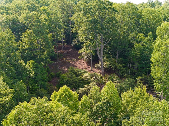 99999 Reserve Rd, Pisgah Forest, NC 28768