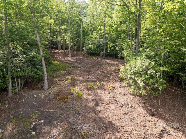 99999 Reserve Rd, Pisgah Forest, NC 28768