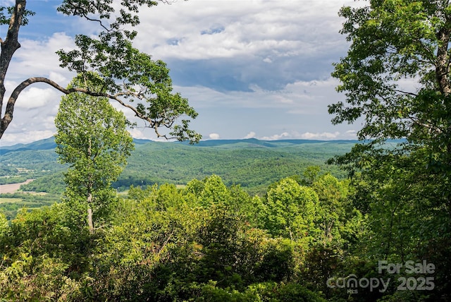99999 Reserve Rd, Pisgah Forest, NC 28768 - photo 6