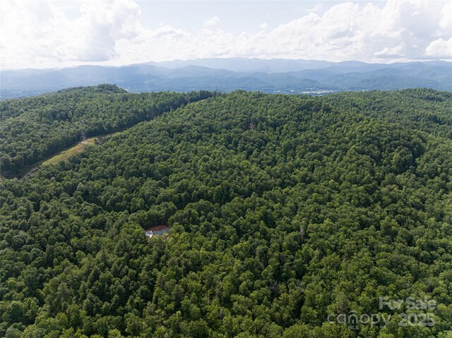 99999 Reserve Rd, Pisgah Forest, NC 28768 - photo 8