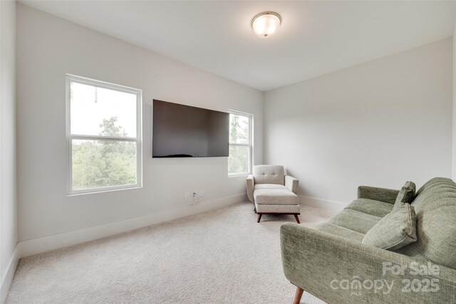 972 Von Buren Blvd Unit 242, Rock Hill, SC 29730 - photo 15
