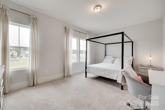 972 Von Buren Blvd Unit 242, Rock Hill, SC 29730 - photo 22
