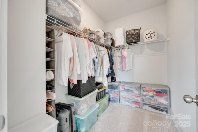972 Von Buren Blvd Unit 242, Rock Hill, SC 29730 - photo 24