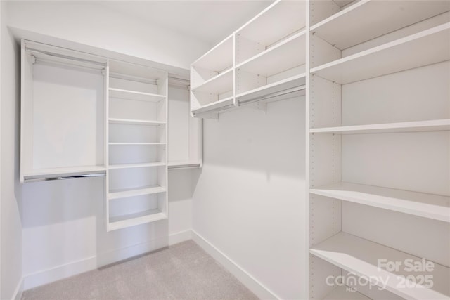 209 Coxe Ave Unit A, Charlotte, NC 28208 - walk in closet featuring carpet flooring