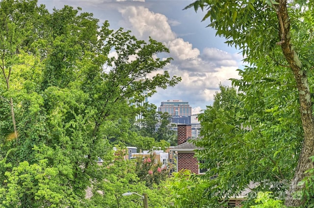 209 Coxe Ave Unit A, Charlotte, NC 28208 - view of property's community