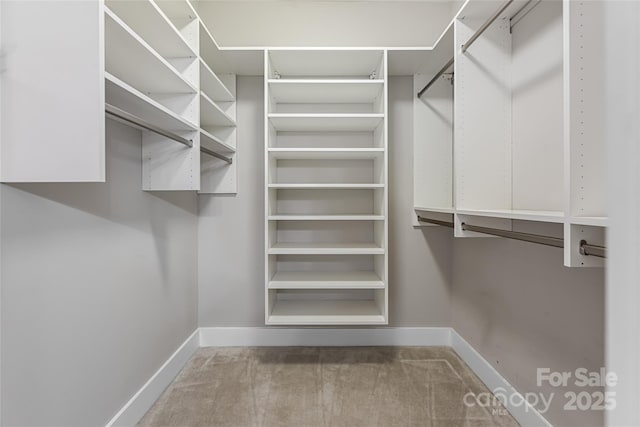 9 Kenilworth Knl, Asheville, NC 28805 - walk in closet with carpet floors