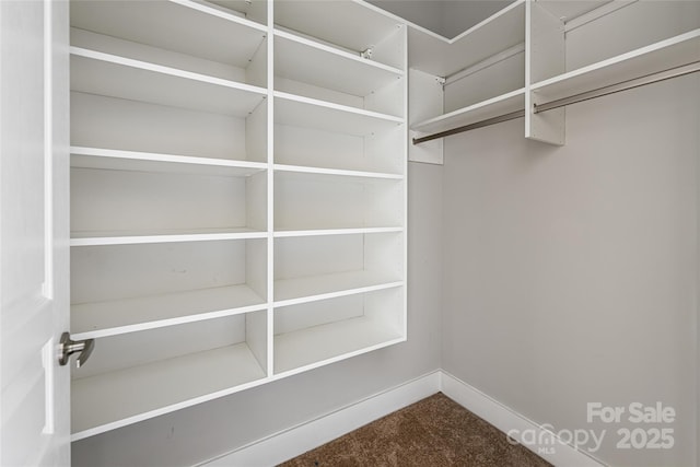 9 Kenilworth Knl, Asheville, NC 28805 - spacious closet with carpet