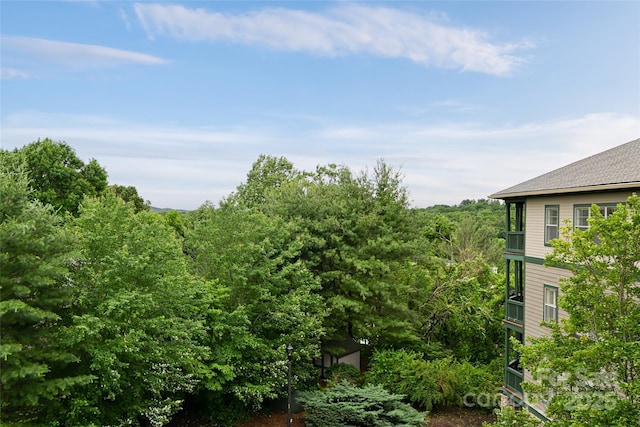 9 Kenilworth Knl, Asheville, NC 28805 - view of yard
