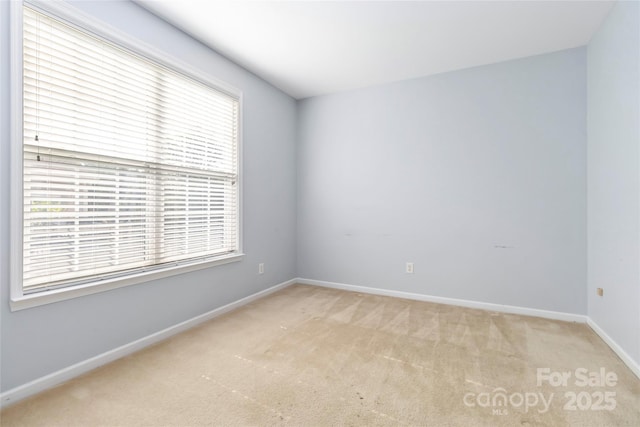 1009 Murandy Ln, Matthews, NC 28104 - photo 9