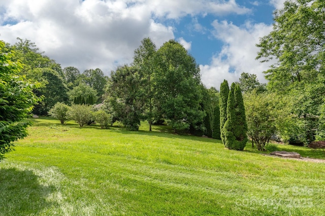 35 Stonecrest Ct, Flat Rock, NC 28731 - view of grassy yard