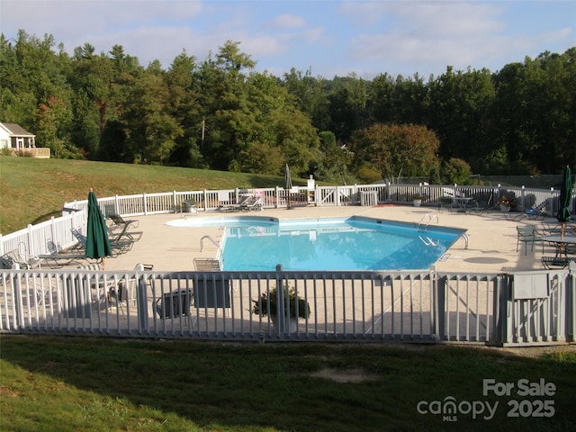 35 Stonecrest Ct, Flat Rock, NC 28731 - community pool with a patio and a wooded view