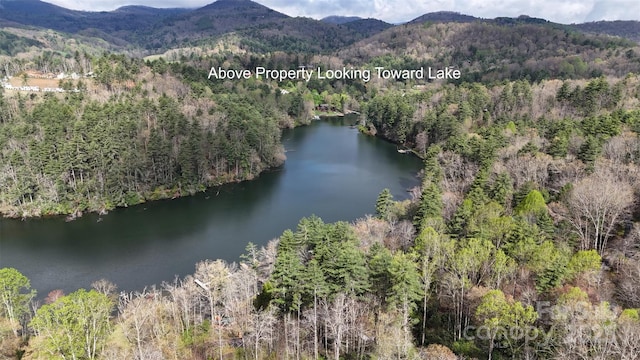 LOT3 Woods Mountain Trl, Cullowhee, NC 28723