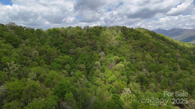 LOT3 Woods Mountain Trl, Cullowhee, NC 28723