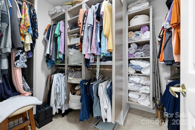 129 Nims Spring Dr, Fort Mill, SC 29715 - view of spacious closet