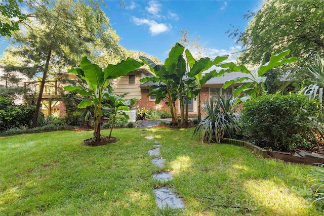 6921 Thermal Rd, Charlotte, NC 28211 - view of grassy yard