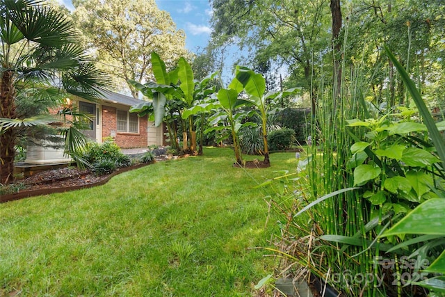 6921 Thermal Rd, Charlotte, NC 28211 - view of grassy yard