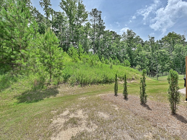 15614 Aviary Orchard Way, Charlotte, NC 28278 - view of undeveloped land