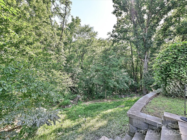 7309 Rock Hampton Ct, Harrisburg, NC 28075 - photo 46