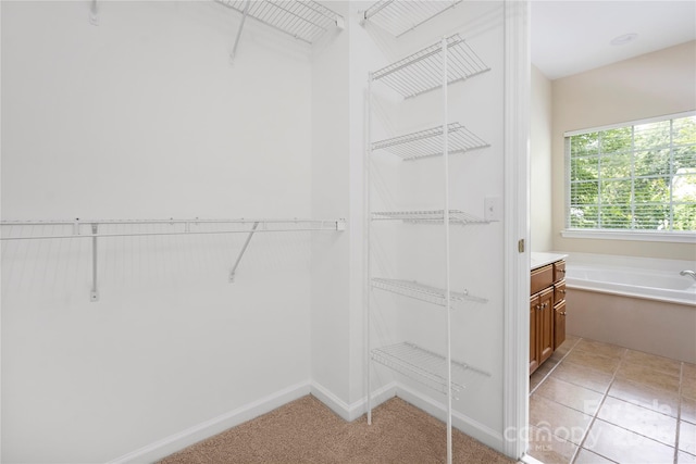 14103 Hiawatha Ct, Huntersville, NC 28078 - view of walk in closet
